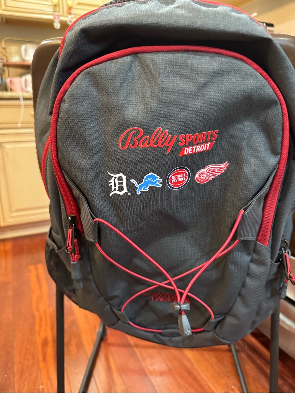 The North Face Black Backpack with Red Trim and Logos